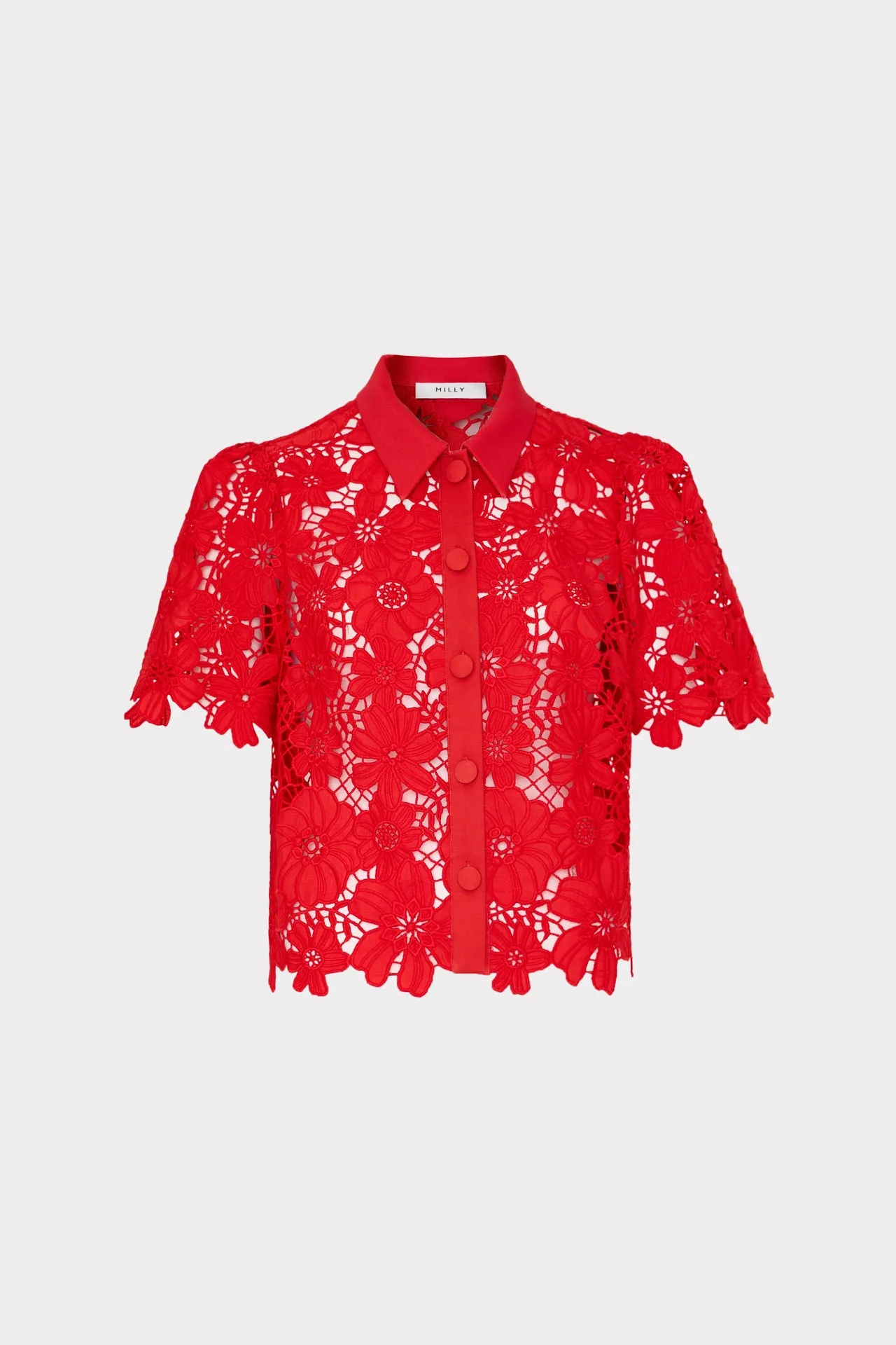 Addison Roja Lace Top