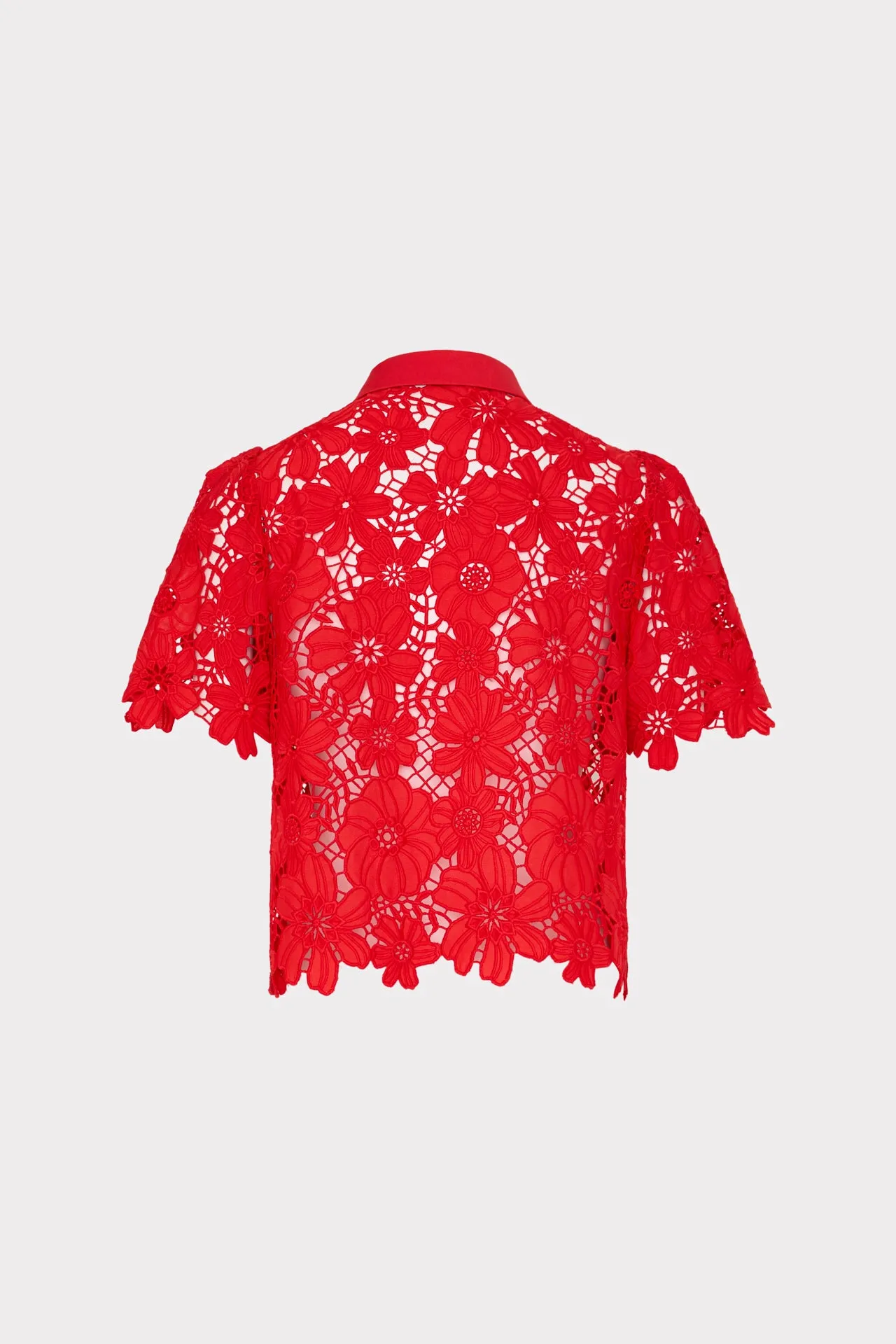 Addison Roja Lace Top