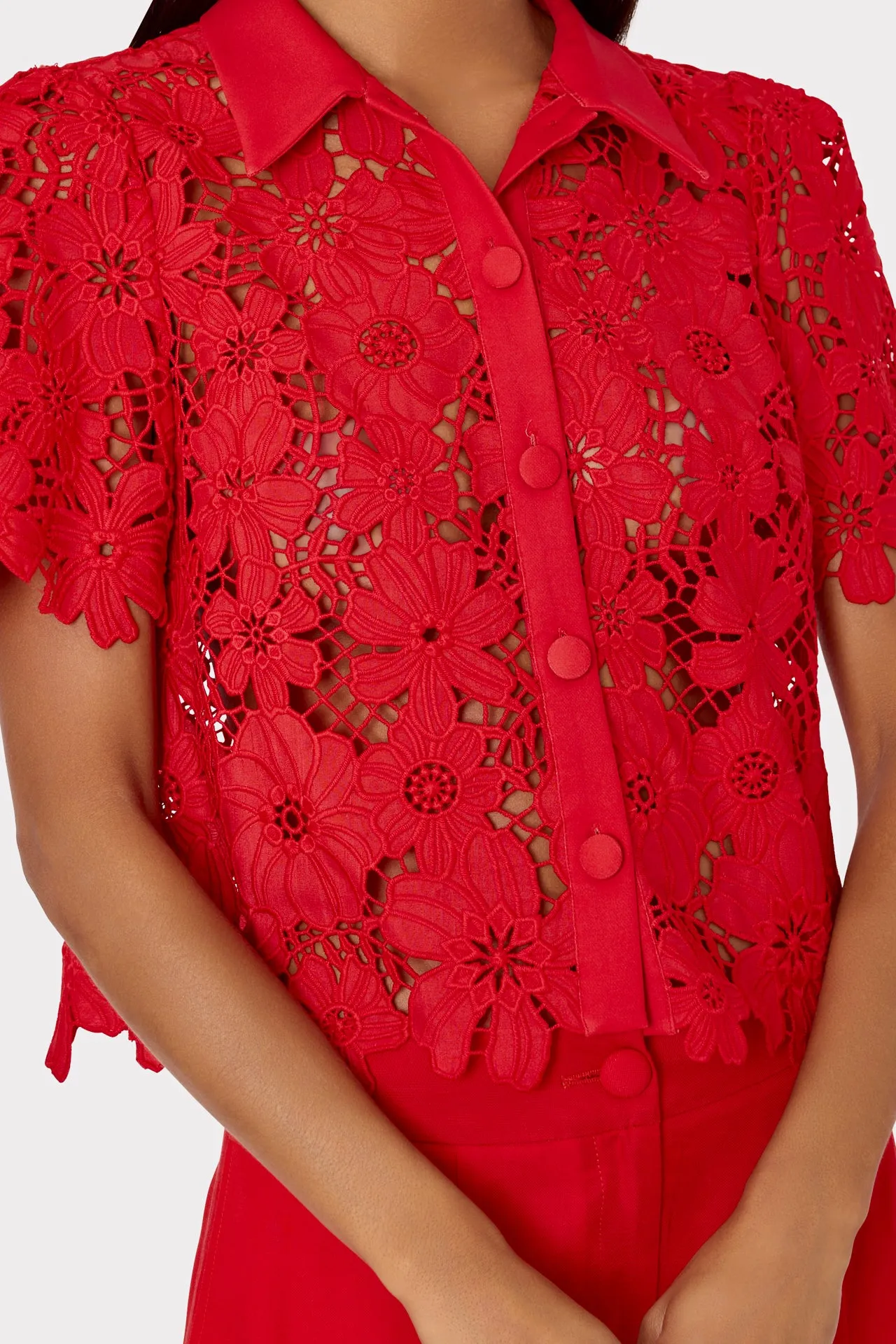 Addison Roja Lace Top