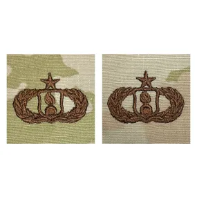 Air Force Embroidered Badge: Munitions: Senior - embroidered on OCP