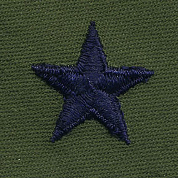 Air Force Embroidered Rank: Brigadier General - subdued fatigue (NON-REFUNDABLE)