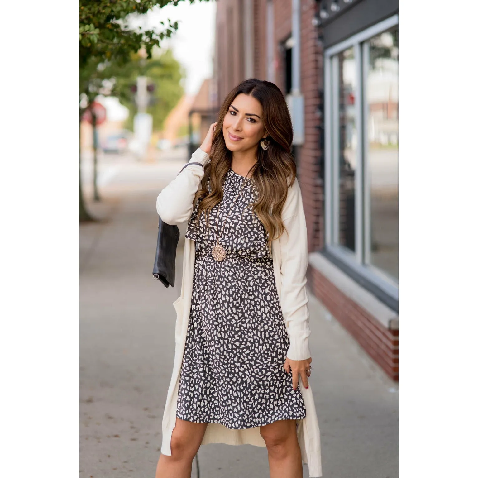 Chic & Classy Cheetah Ruffle Sleeve Dress