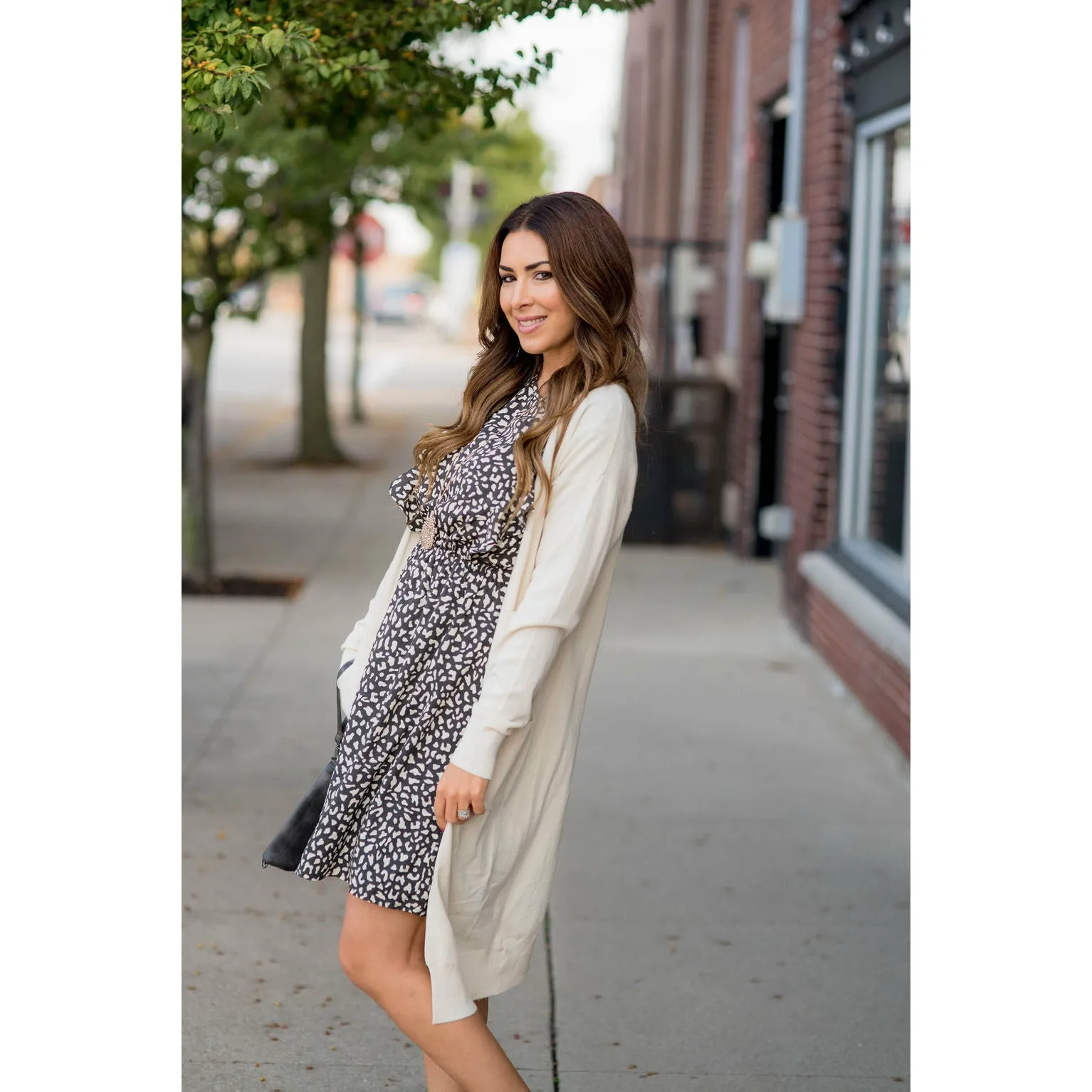 Chic & Classy Cheetah Ruffle Sleeve Dress